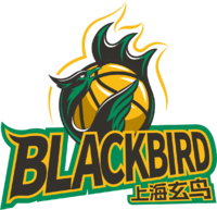 Shanghai Blackbird