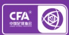 全国女足发展联赛标志