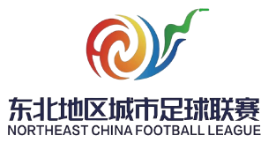 东北地区城市足球联赛标志
