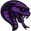 Team Cobra